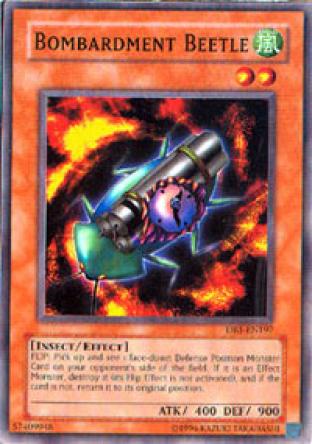 Bombardment Beetle