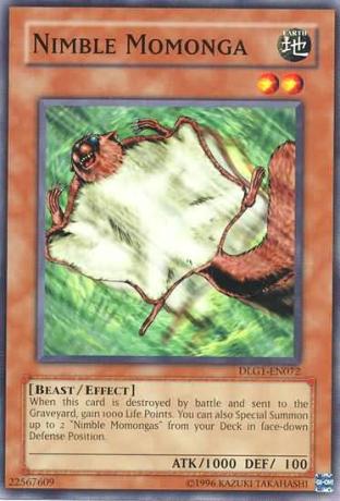 Nimble Momonga