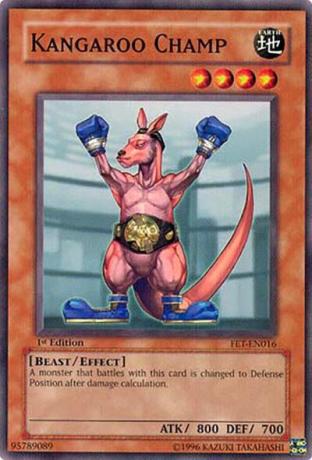 Kangaroo Champ