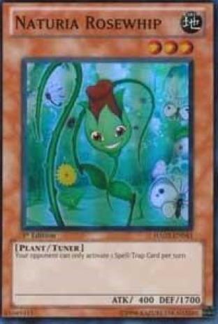 Naturia Rosewhip