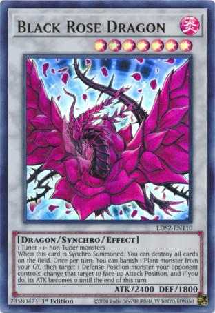 Black Rose Dragon