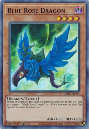 Blue Blue Rose Dragon