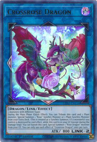 Crossrose Dragon