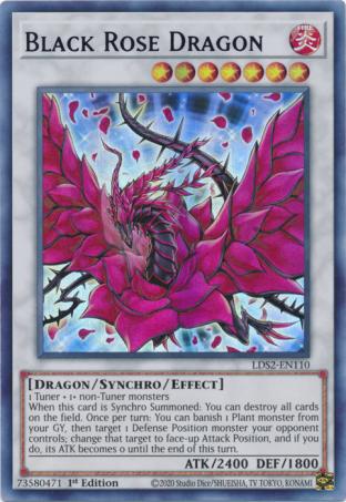 Purple Black Rose Dragon