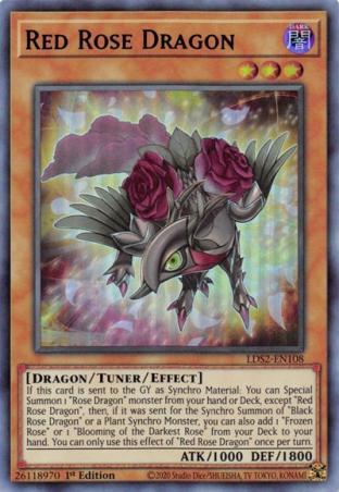 Red Rose Dragon (Purple)