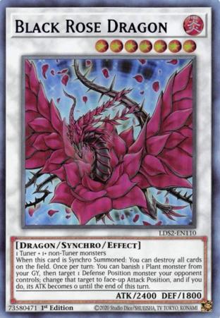 Black Rose Dragon (Blue)