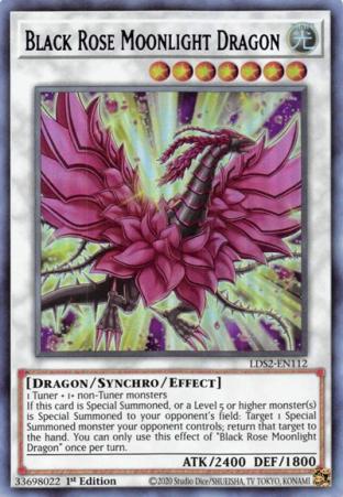Black Rose Moonlight Dragon (Purple)