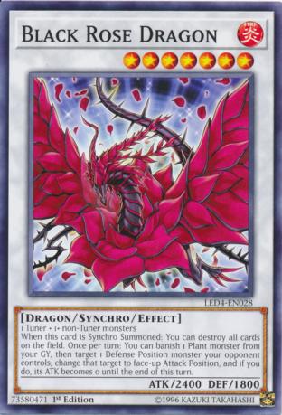 Black Rose Dragon