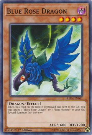 Blue Rose Dragon