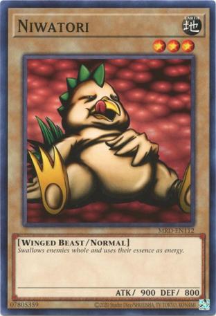 Niwatori