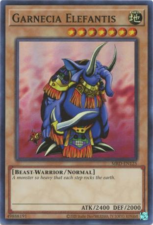 Garnecia Elefantis