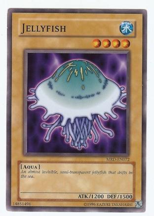 Jellyfish