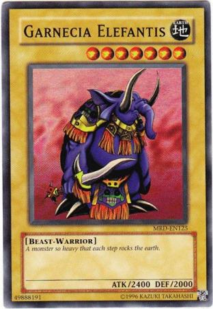 Garnecia Elefantis