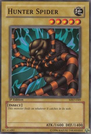 Hunter Spider
