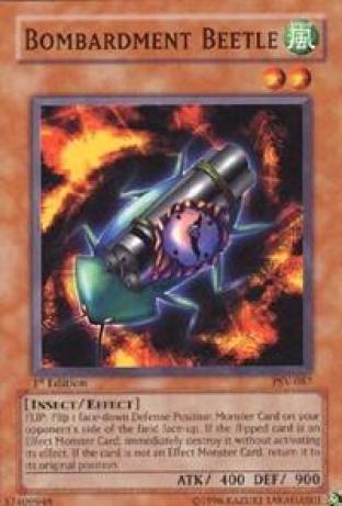 Bombardment Beetle