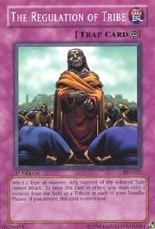 The Regulation of Tribe
