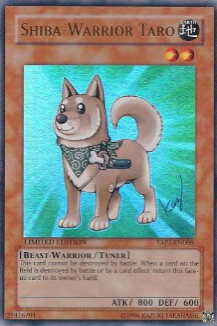 Shiba-Warrior Taro