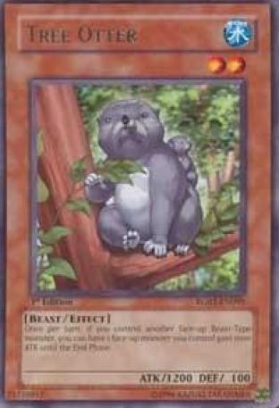 Tree Otter