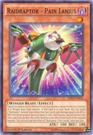 Raidraptor Pain Lanius
